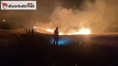 Şanlıurfa'da korkutan orman yangını söndürüldü!
