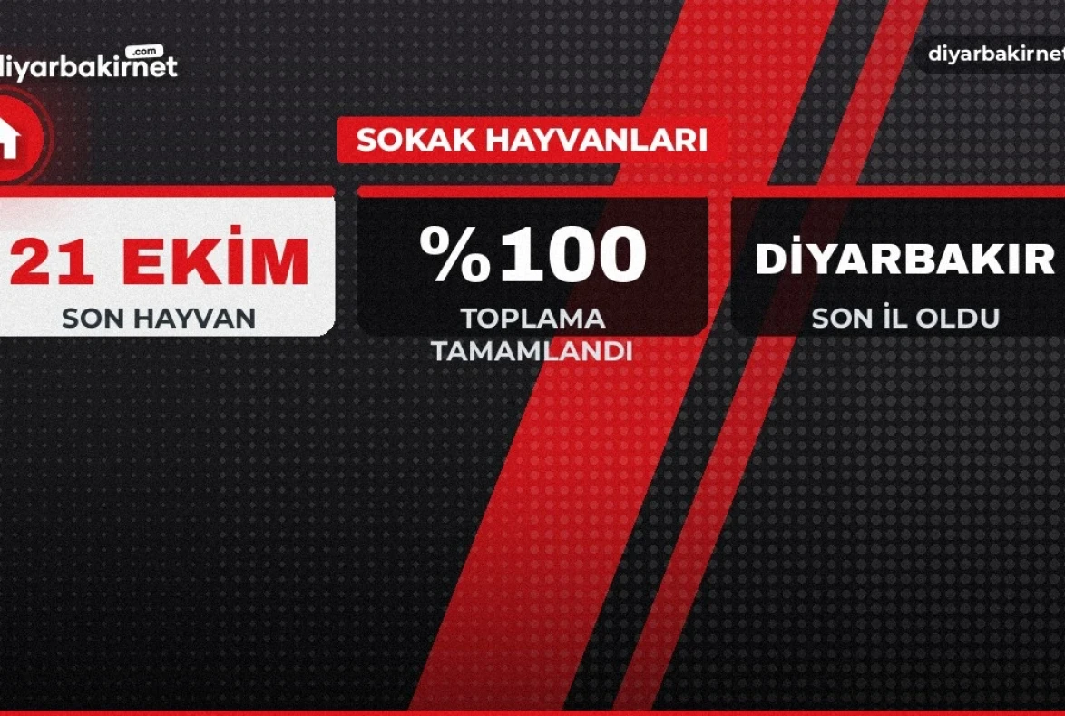 Son sokak hayvanı Diyarbakır'da barınağa alındı
