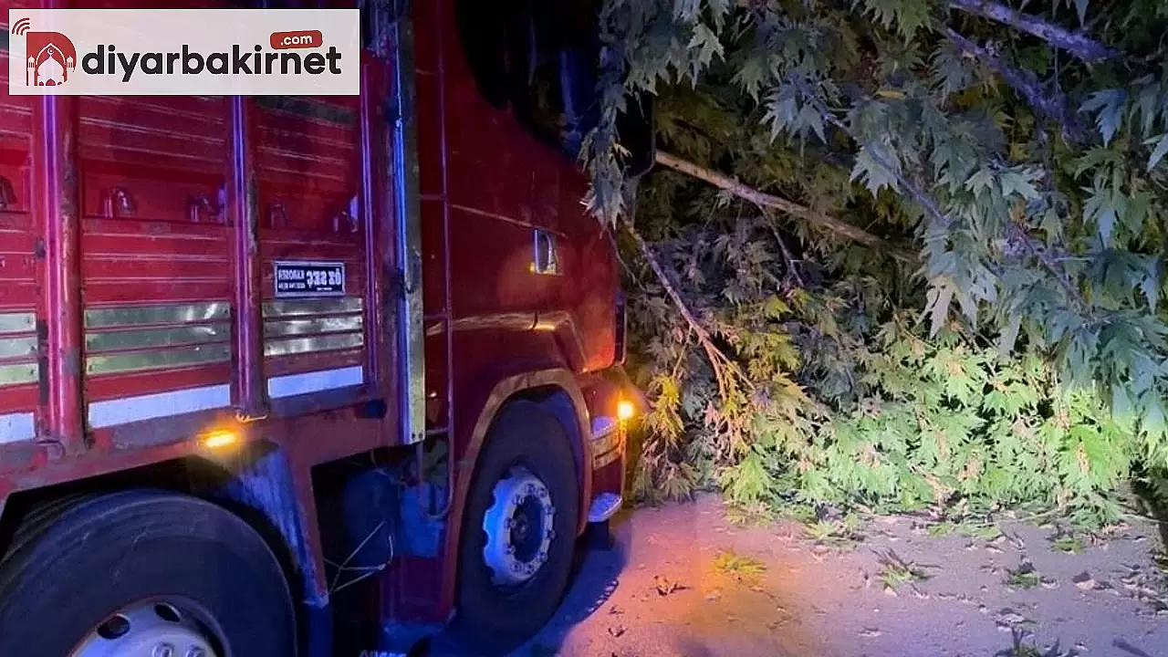 Elazığ'da meydana gelen iki ayrı trafik kazasında çok sayıda yaralı var!