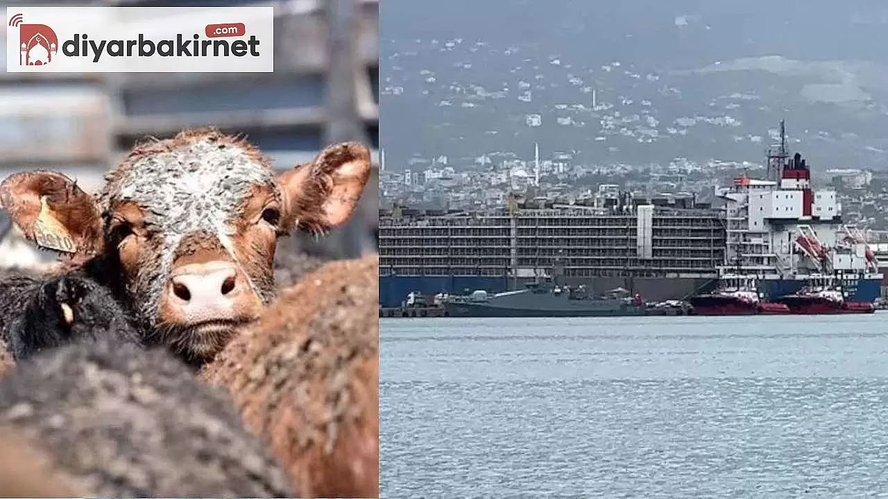 Heyecanla beklenen gemi İskenderun Limanına geldi!