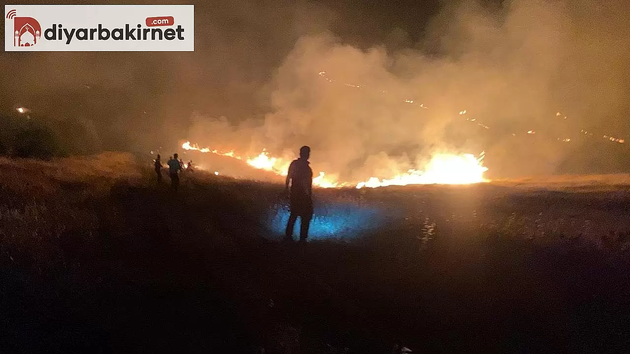 Şanlıurfa'da korkutan orman yangını söndürüldü!