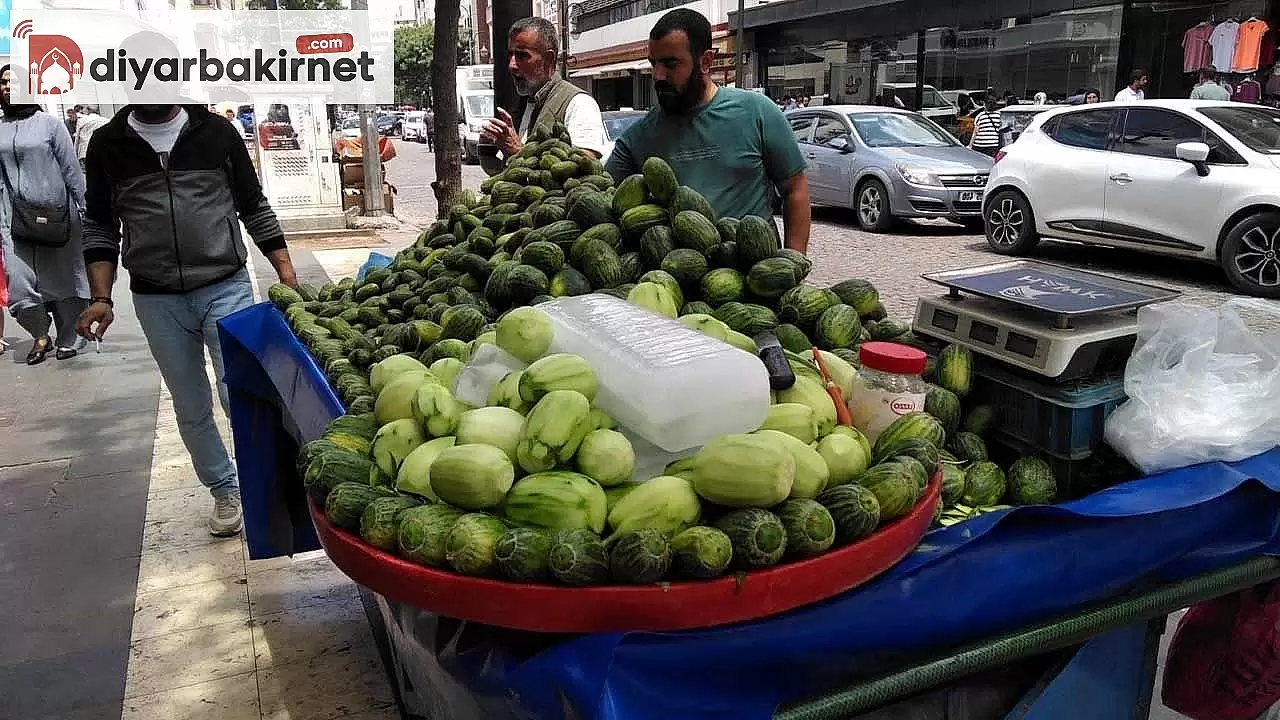 Acur sezonu başladı! Peki fiyatı ne kadar?