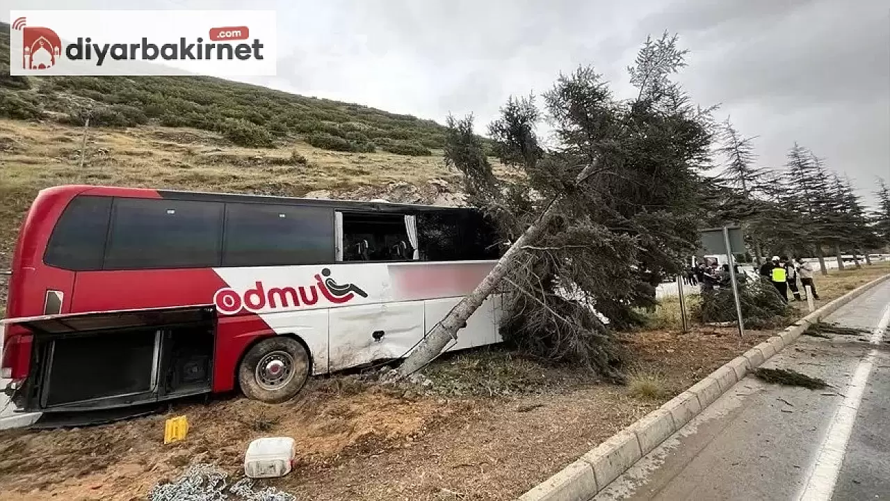 Isparta'da yolcu otobüsü ağaca çarptı 11 yaralı var