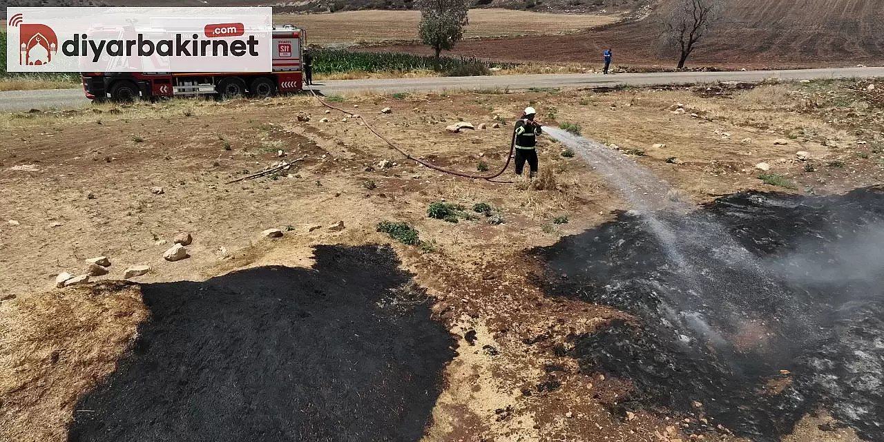 DBB tarafından yangın bölgesinde yürütülen incelemeler sona erdi