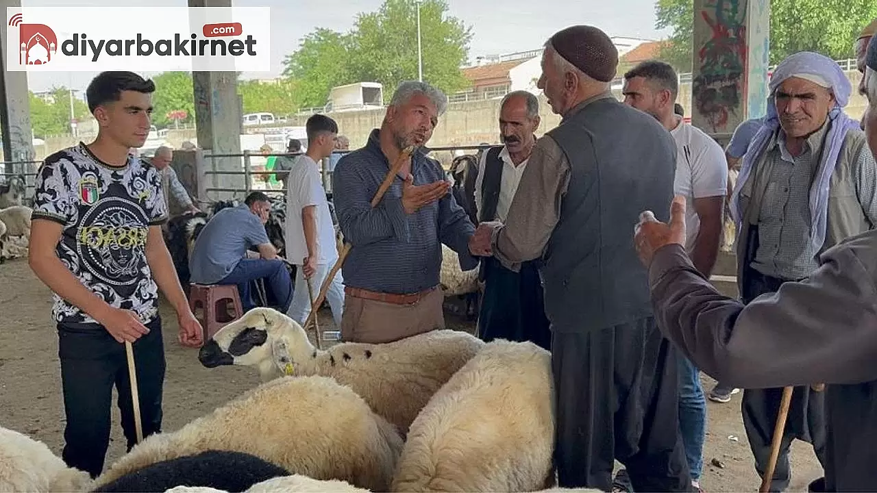 Diyarbakır'da kurbanlık hayvanlar için son pazarlıklar yoğunlaşıyor