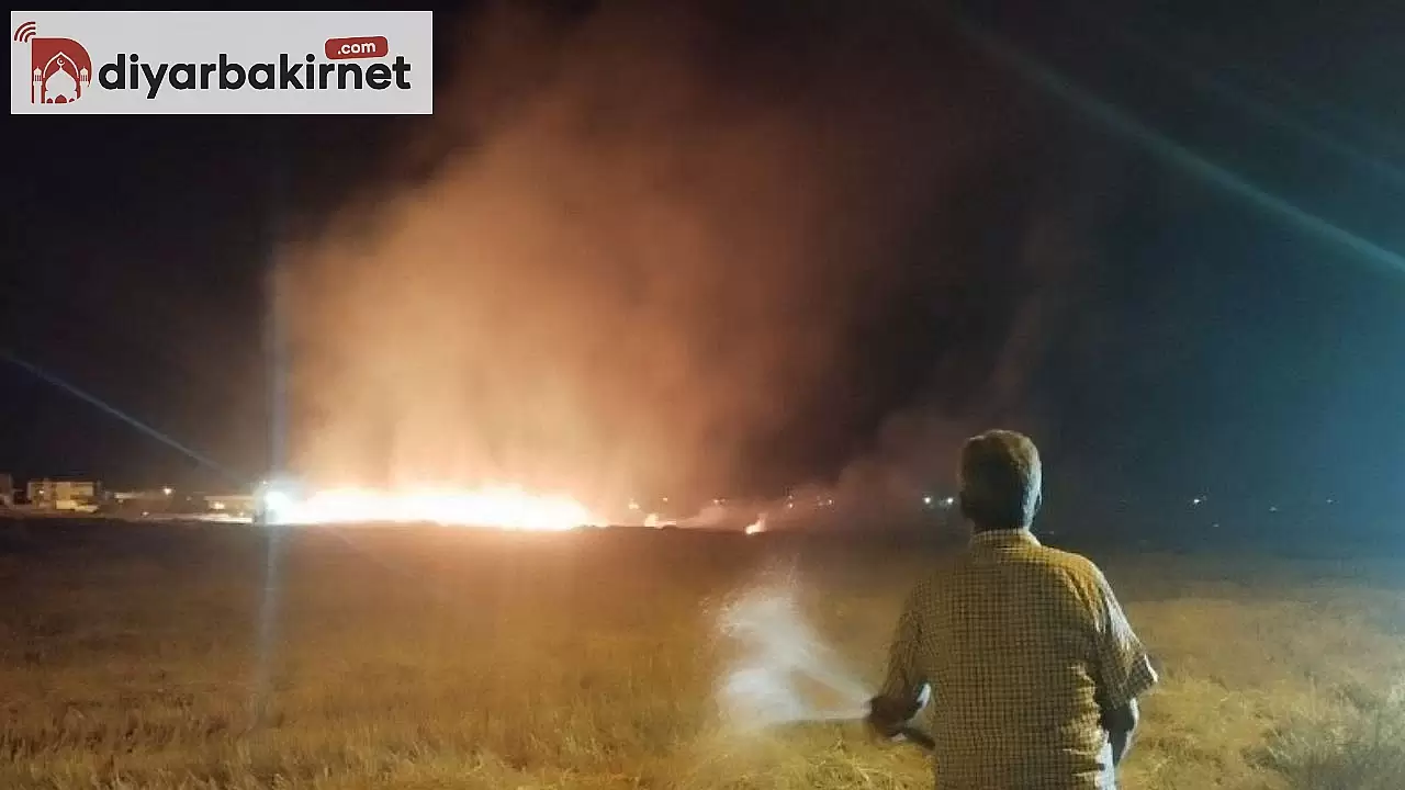 Mardin'de anız yangınları hala kontrol altına alınamıyor