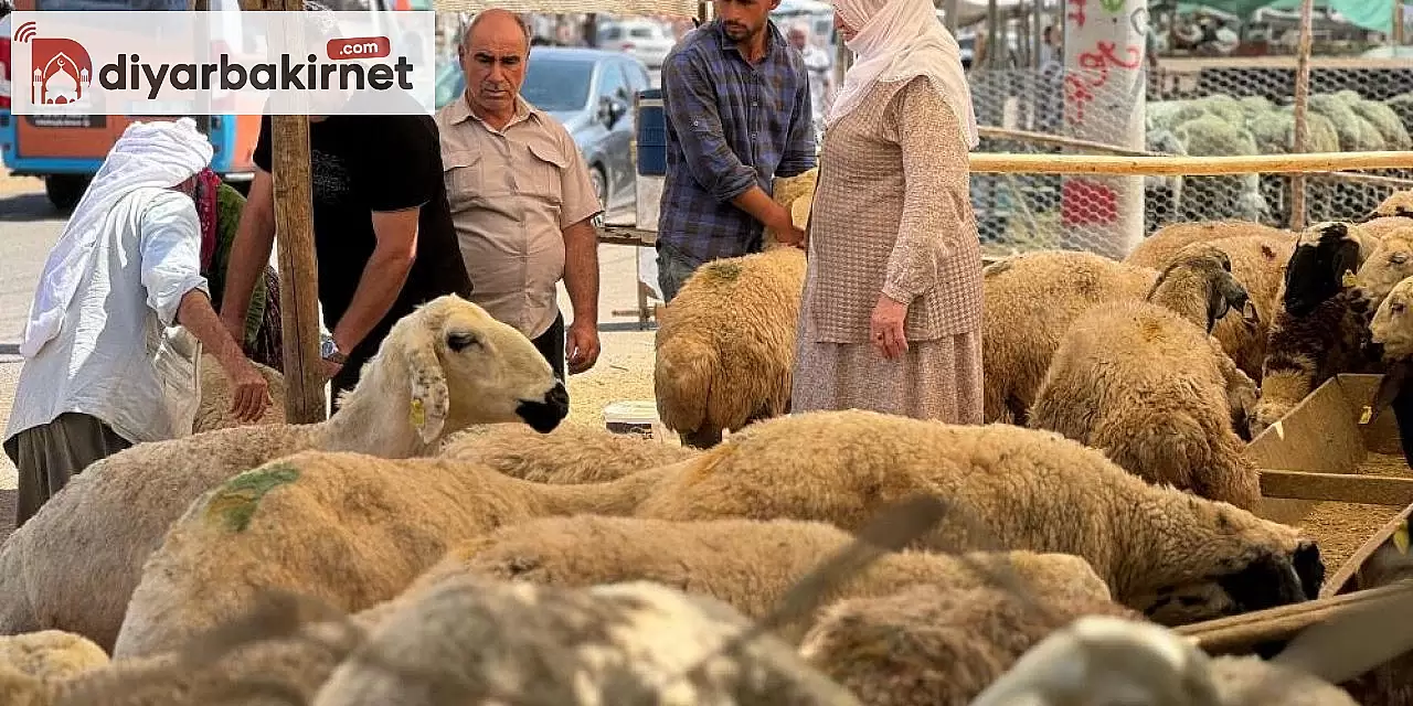 Diyarbakır'da hayvan pazarlarında hareketlilik artış gösteriyor