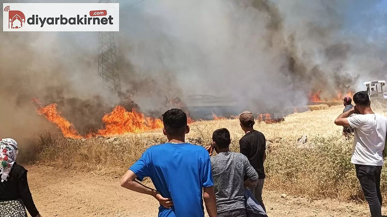 Mardin'de Art Arda Çıkan Yangınlar Korkuttu: Sabotaj İhtimali!