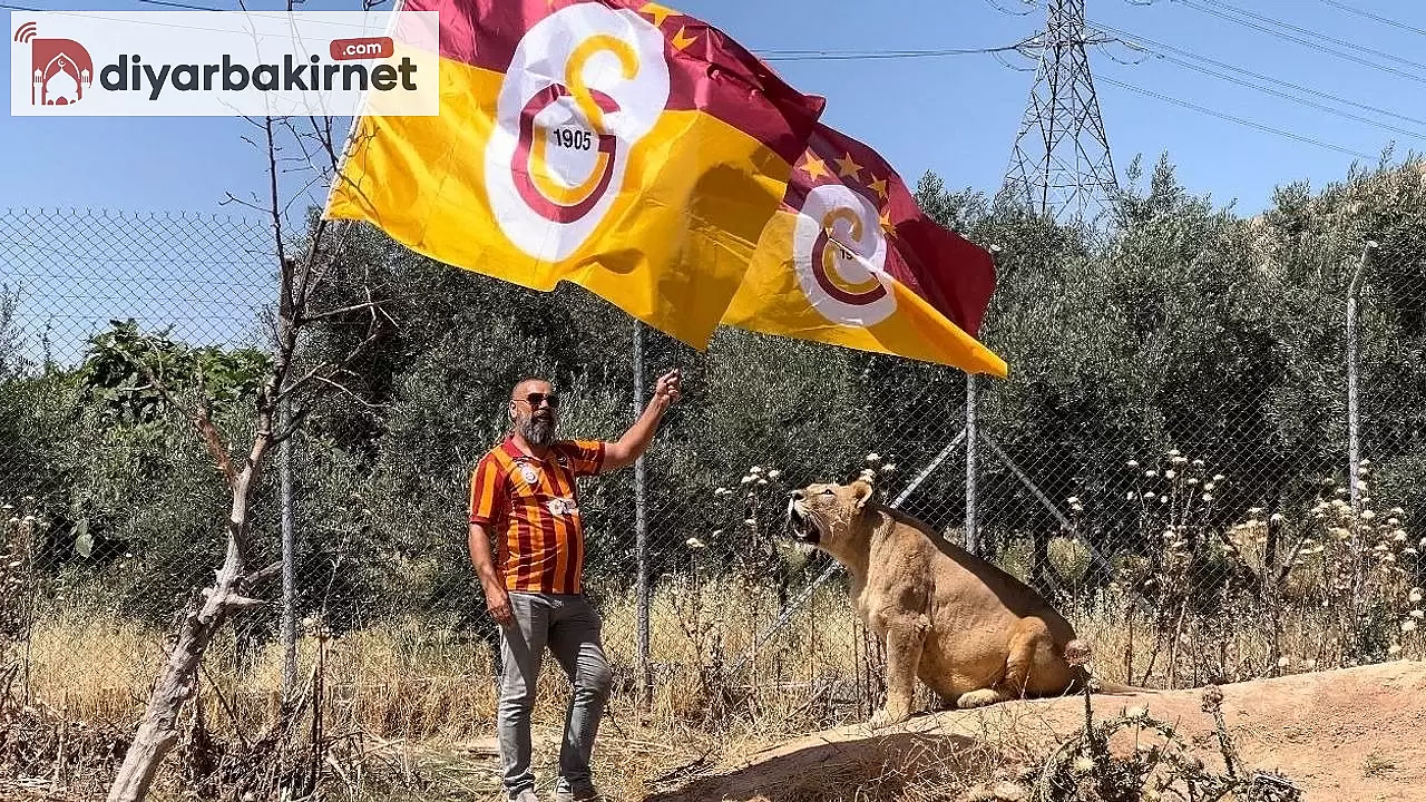 Galatasaray Taraftarı Aslanlarıyla Şampiyonluğu Kutladı