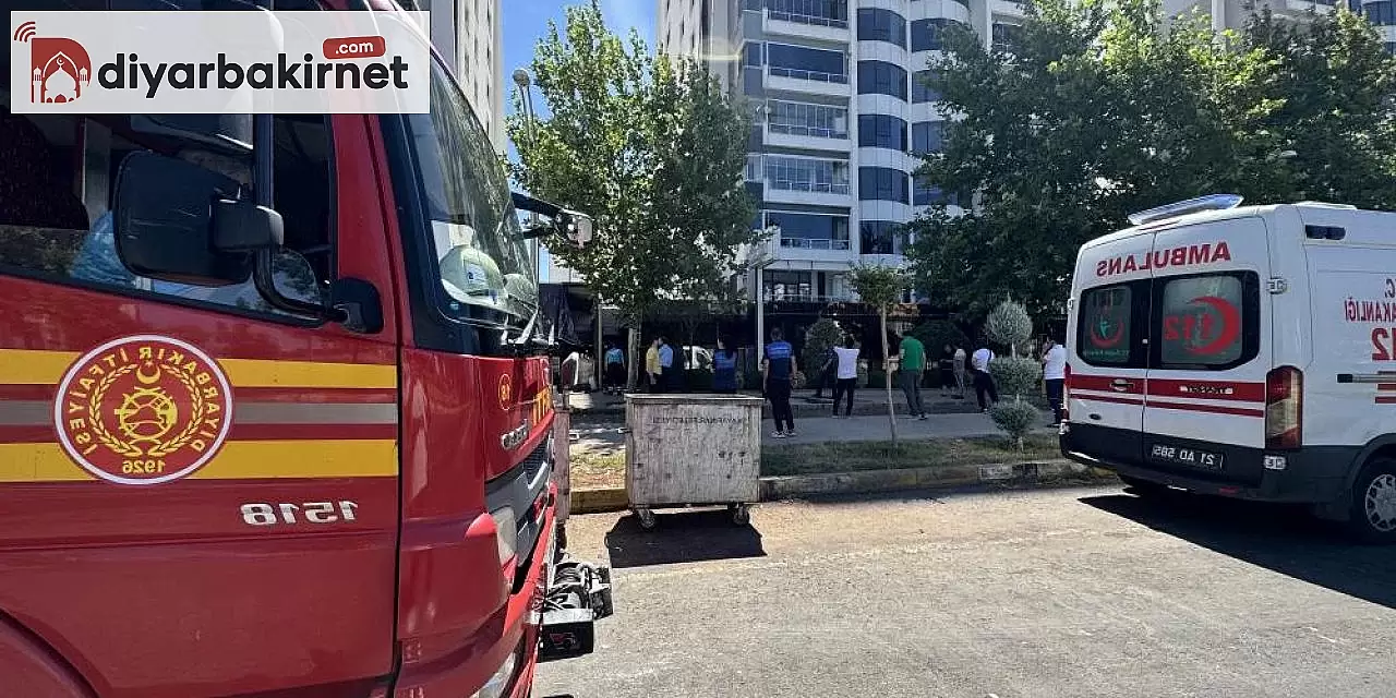 Diyarbakır'da bir restoranın bacasında çıkan yangın itfaiye ekipleri tarafından kontrol altına alındı