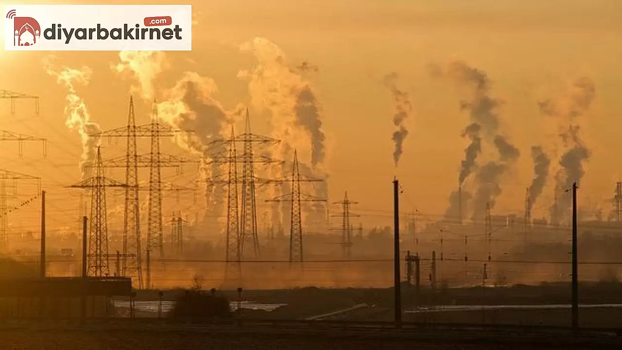 Hava kirliliği yılda 8 milyondan fazla insanın hayatına mal oldu - Bilim İnsanları Uyarıyor