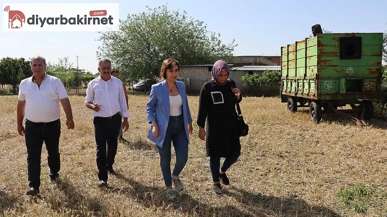 Sur Belediye Eşbaşkanları, İlçe Halkının Sorunlarını Dinleyerek Çözüm İçin Adımlar Atıyor