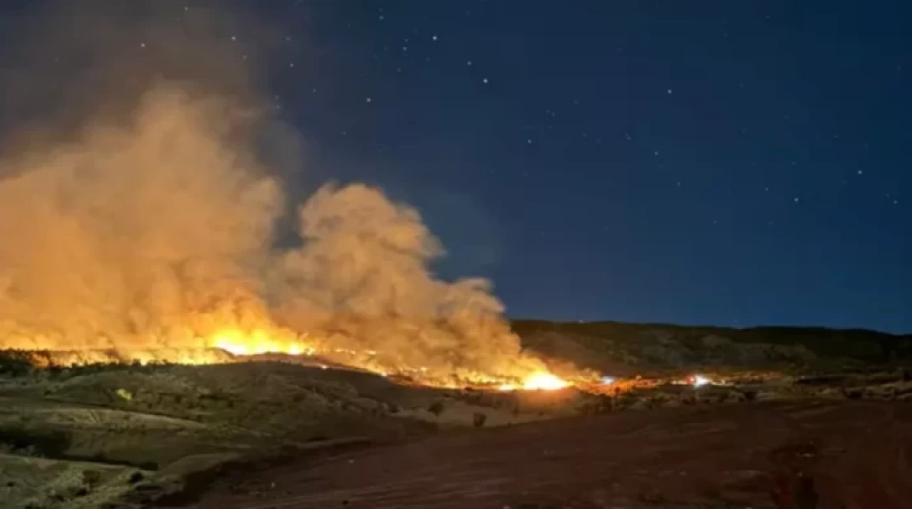 Gölbaşı'nda Ormanlık Bölgede Meydana Gelen Yangın Endişe Yarattı