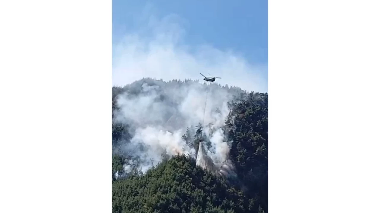 Maraş'ta devam eden yangın 72 saattir kontrol altına alınamıyor.