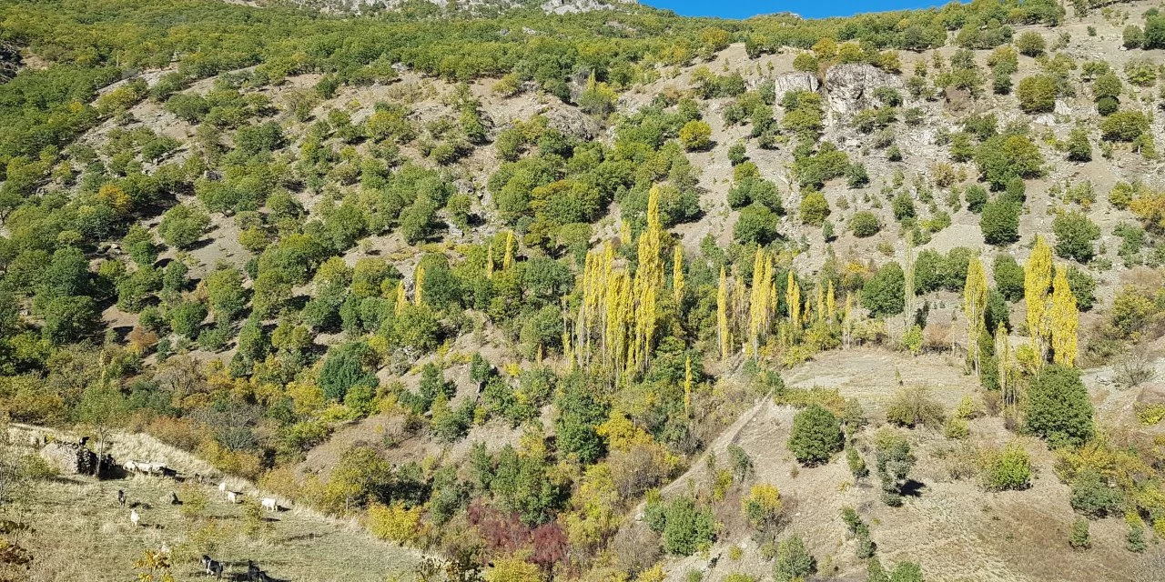 Kulp Dağları, Sonbaharın Büyüleyici Renkleriyle Şenlendi