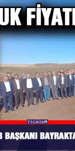 - TZOB Başkanı Bayraktar, Diyarbakır'da Pamuk Hasadı Gerçekleştirdi