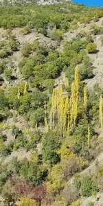 Kulp Dağları, Sonbaharın Büyüleyici Renkleriyle Şenlendi