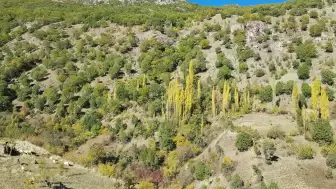 Kulp Dağları, Sonbaharın Büyüleyici Renkleriyle Şenlendi