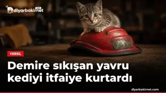 Demire sıkışan yavru kediyi itfaiye kurtardı