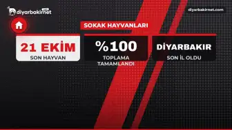 Son sokak hayvanı Diyarbakır'da barınağa alındı