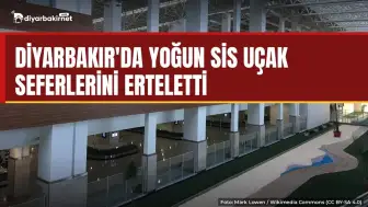 Diyarbakır'da sis uçuşları aksattı