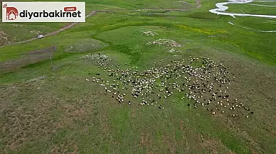 Göçerler Şırnak Faraşin yaylasında konaklamaya başladı