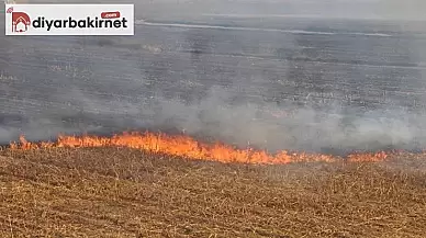 Anız yakanlara idari para cezası!