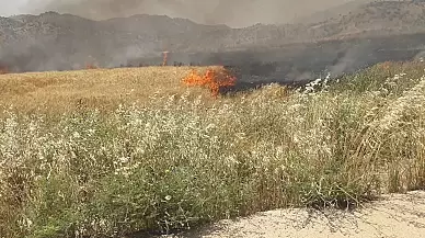 Şırnak'ta 200 dönüm buğday tarlası kül oldu!