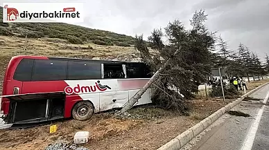 Isparta'da yolcu otobüsü ağaca çarptı 11 yaralı var