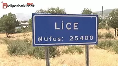 Lice’de çok sayıda gözaltı var!