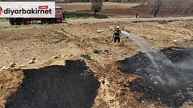 DBB tarafından yangın bölgesinde yürütülen incelemeler sona erdi