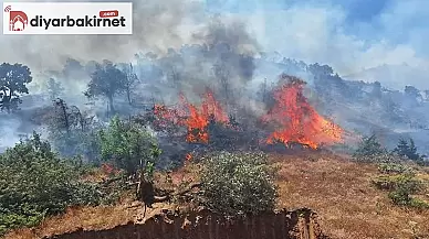 Ekipler Bingöl'de yeni bir operasyon başlattı!