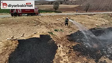 Diyarbakır İtfaiyesi bir ay içerisinde toplam kaç yangına müdahale etti?