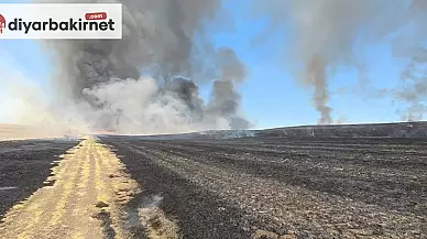 Diyarbakır'da meydana gelen anız yangınında 500 dönüm arazi kül oldu