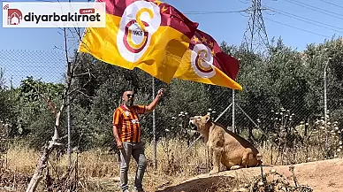 Galatasaray Taraftarı Aslanlarıyla Şampiyonluğu Kutladı