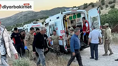 Keçilerini aramak için çıktığı yolda hayatını kaybetti, acı sona ulaşıldı