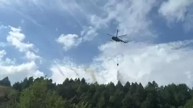 Zonguldak'ın Devrek İlçesinde Orman Yangını Kontrol Altına Alındı