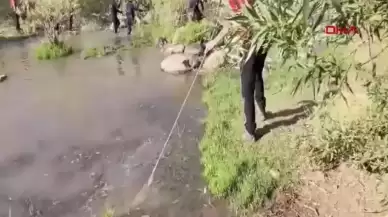 Diyarbakır’da 8 Yaşındaki Narin Güran’ı Arama Çalışmaları 17’nci Günde