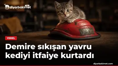 Demire sıkışan yavru kediyi itfaiye kurtardı
