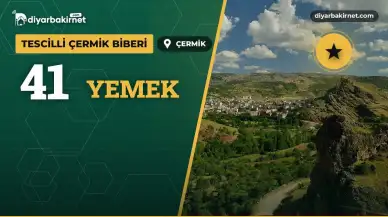 Çermik biberinden 41 çeşit yemek