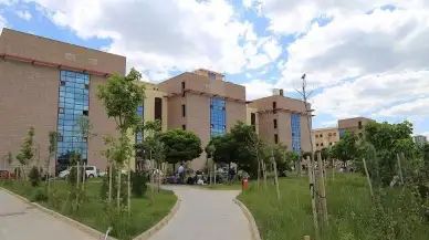 Kalp kapağı kaçağına ameliyatsız tedavi