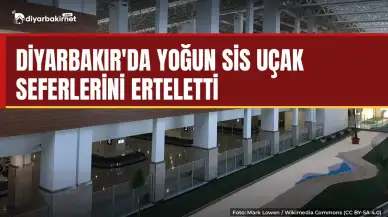 Diyarbakır'da sis uçuşları aksattı