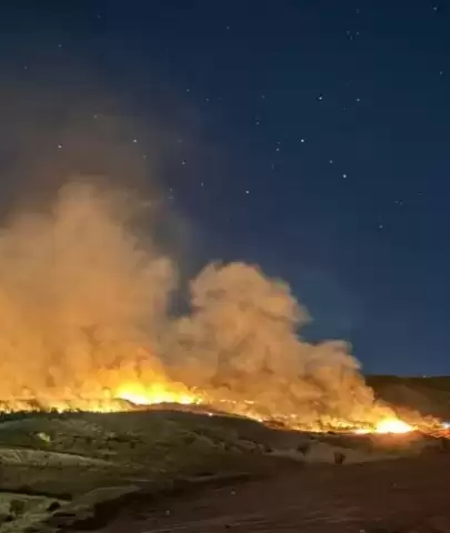 Gölbaşı'nda Ormanlık Bölgede Meydana Gelen Yangın Endişe Yarattı