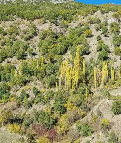 Kulp Dağları, Sonbaharın Büyüleyici Renkleriyle Şenlendi