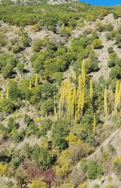 Kulp Dağları, Sonbaharın Büyüleyici Renkleriyle Şenlendi