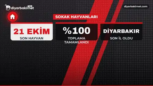 Son sokak hayvanı Diyarbakır'da barınağa alındı
