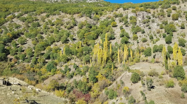 Kulp Dağları, Sonbaharın Büyüleyici Renkleriyle Şenlendi