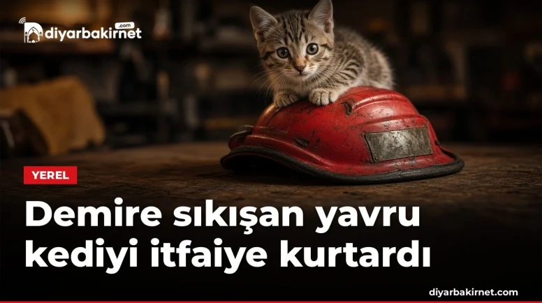 Demire sıkışan yavru kediyi itfaiye kurtardı