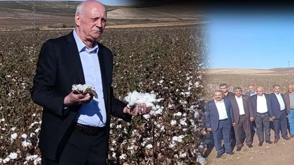 - TZOB Başkanı Bayraktar, Diyarbakır'da Pamuk Hasadı Gerçekleştirdi