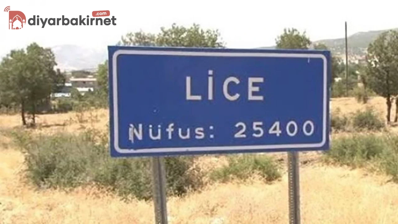 Lice’de çok sayıda gözaltı var!